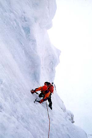 Mark Twight Photo