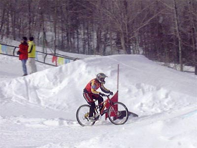 Winter X Games