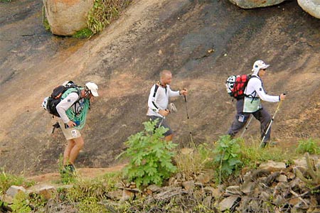 Elf Authentic Adventure