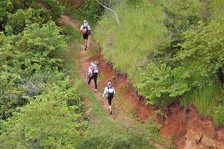 Elf Authentic Adventure