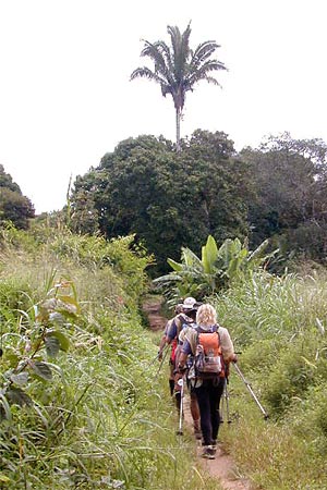 Elf Authentic Adventure