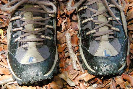 Elf Authentic Adventure