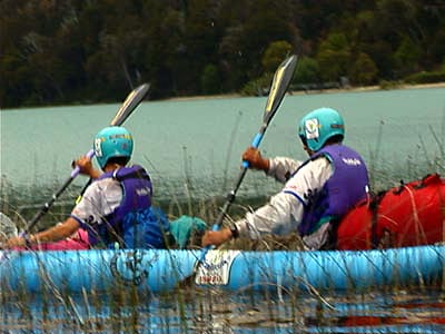 Team Greenpeace