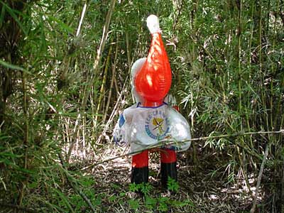 eco