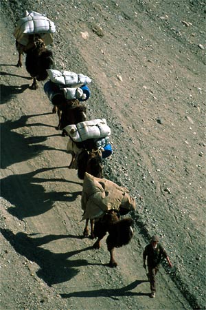 K2 Approach Photo