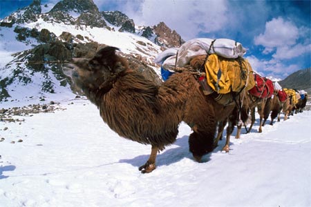 K2 Approach Photo
