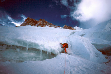Steve Swenson Photo