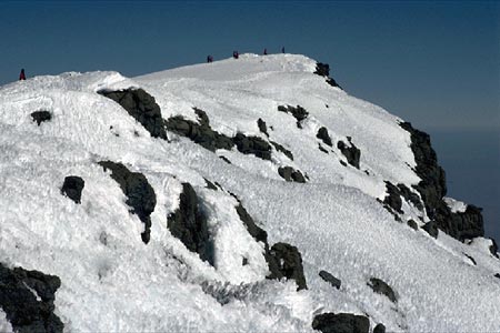 Kilimanjaro Photo