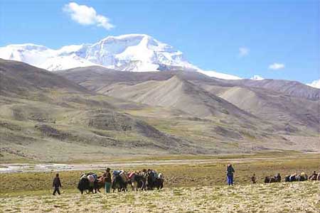Cho Oyu Photo
