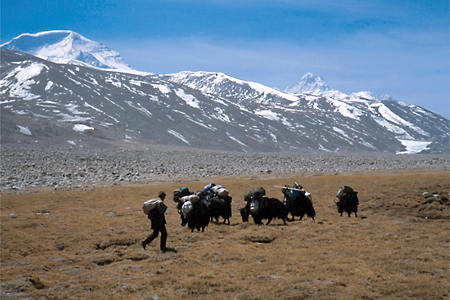 Cho Oyu Photo