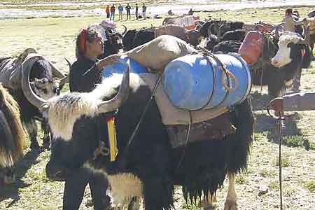 Cho Oyu Photo
