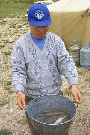 Cho Oyu Photo