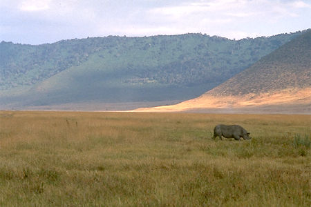 Kilimanjaro Photo
