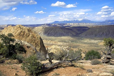 Colorado Plateau Trail Photo