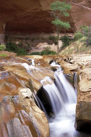 Colorado Plateau Trail Photo