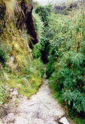 The Inca Trail