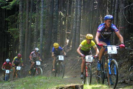 Norba 2000 NCS Photo