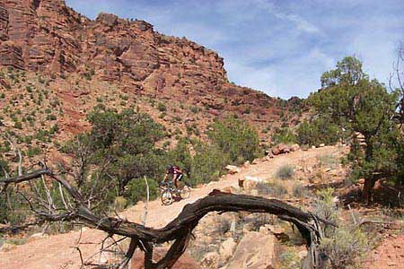Riding the Ancient Kokopelli Trail