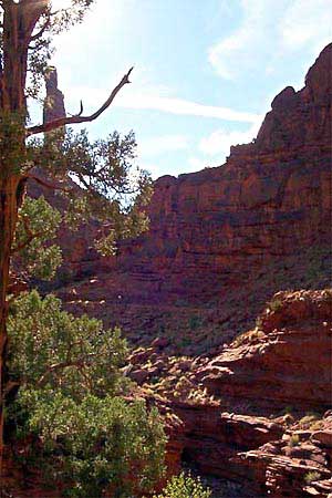 Riding the Ancient Kokopelli Trail
