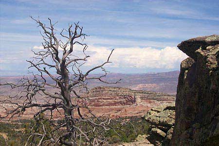 Riding the Ancient Kokopelli Trail