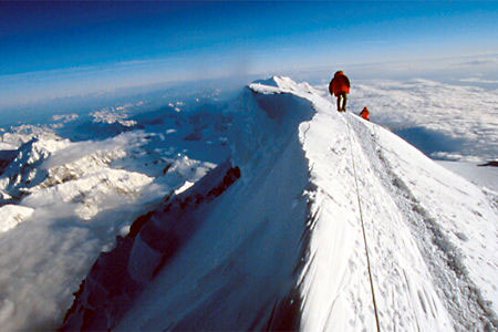 Scott Darsney Image