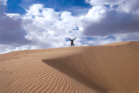 Scott Darsney Image