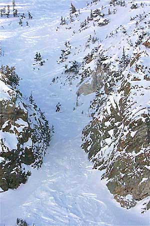US Freeskiing Nationals Photo