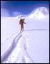 Eagle Glacier