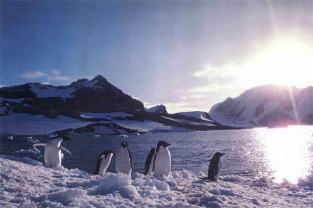 Antarctica Photo