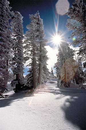 Heavenly Ski Resort Photo