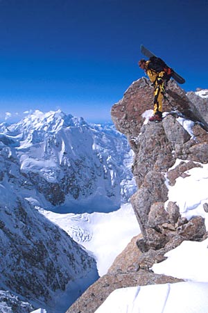 Stephen Koch Photo