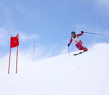 Dana Breslau