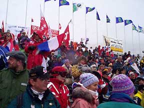 The Crowd